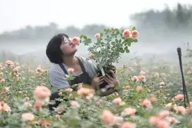 这位成都妈妈，想为100所学校建100座花园图片