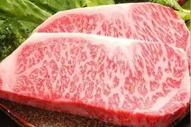 神户牛，布雷斯鸡，伊比利亚猪，鳌虾，三文鱼！上等好肉在哪里？图片