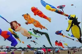 夫妻为哄孩子冒险取风筝，二人双双被电击被截四肢图片