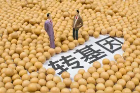 进口油检出转基因成分，金龙鱼回应“货不对板”已退回图片