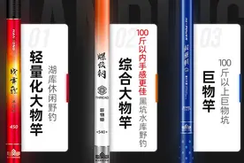 综合竿？鲤鱼竿？野钓到底应该选哪种？再也不上当了图片