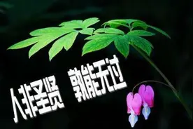 人非圣贤孰能无过，知错就改善莫大焉图片
