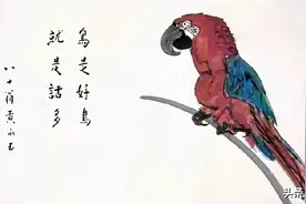 半生已过，学会幽默图片
