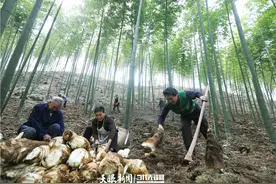 蓝绍敏：“黔货”吃出健康 • 吃出时尚图片