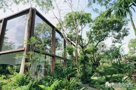 隐藏在曼谷Tonglor 区的有机餐吧| Patom Organic Living图片