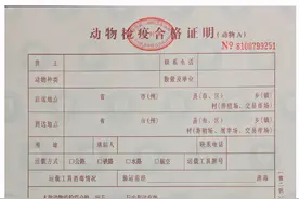 监督执法 | 一起伪造动物检疫合格证明案件引发的思考图片