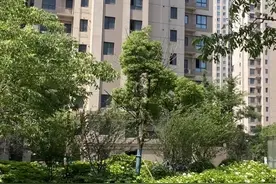 江苏苏州：救人了！事发张家港金港！图片