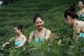 用一句话来形容茶叶好喝，味道好，你会怎么说图片