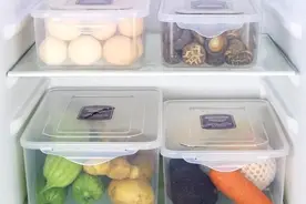 “还是让你们吃得太饱了”图片