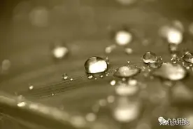 水，真的知道答案吗？图片