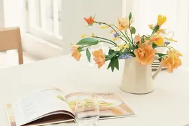 婚姻最好的状态：两个人很棒，一个人也不差图片