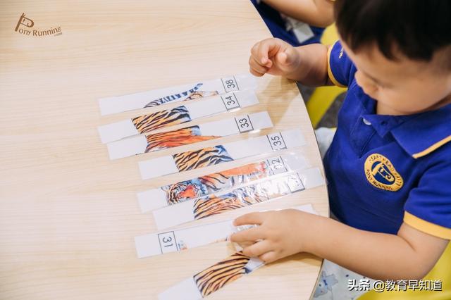 小马快跑国际教育