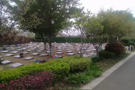 清明节前探访郑州墓园：19万的墓地有绿化、过道，占地4平方米左右图片