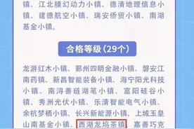 西湖区有两个小镇荣获省级特色小镇优秀等级图片
