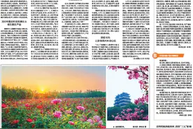 “五一”漫游儋州丨采食水果赏山色，漫步田园享美景！图片