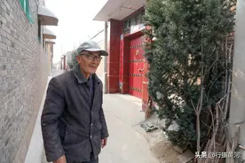 山西7旬农民花巨款种植红豆杉树苗，16年后的收益却让他很意外图片