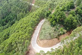 大家看看，这是广西田东县平马镇唯一的贫困村——梅宁村图片