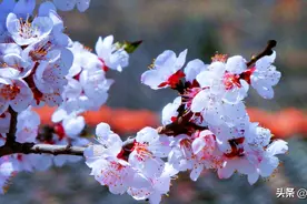 人到中年遇到一个真心喜欢的人时请你这样处理图片