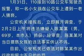 12岁女孩坐公交车被性骚扰，寻求司机帮助：有个老爷爷“摸我的腿和手”图片