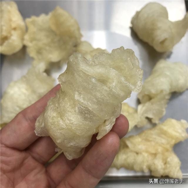 干鳘鱼鳔的油炸吃法 2026年干鱼鳔油炸方法窍门