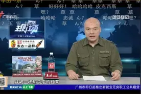 二次元内鬼快要占领广东的电视台了图片