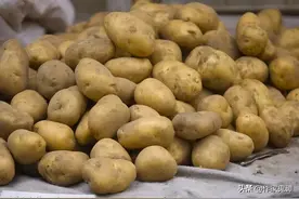 土豆，难以割舍的情怀图片