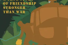 《绿皮书》主创再合作！将拍摄越战题材电影图片