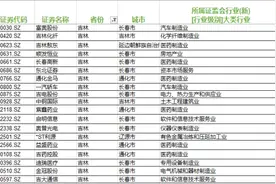 中韩（长春）示范区获批，A股谁最契合长春四大新兴板块？图片