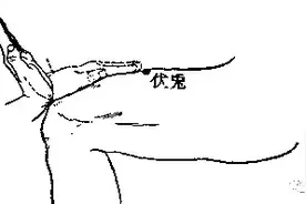 敲打一个穴道，通治腰椎间盘突、腰痛腿疼、腰肌劳损等毛病，收藏图片