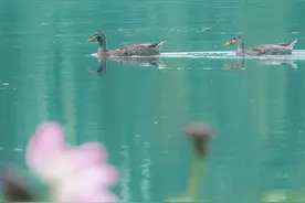 偏爱清秋夜雨时，十首秋雨的诗词，品味古诗词里的浪漫秋雨图片