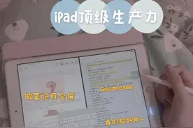 干货！iPad笔记、绘画软件+顶级pencil平替图片