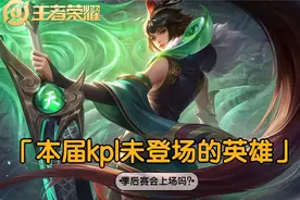 20kpl秋季赛有13个英雄从未登场，bo7赛制下谁有机会？图片