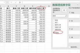 EXCEL我的透视表好像中毒啦，老是“不听话”，真气人图片