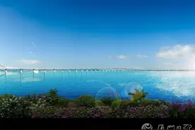 喜报！厦门第二西通道、第二东通道，重大进展图片