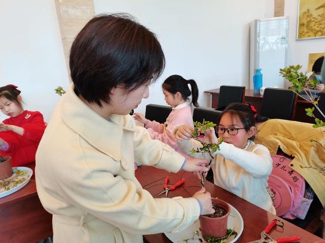 小树苗要调教，盆景大师教我一寸三弯调教小树苗