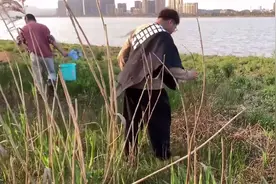 退水后，钱塘江滩涂变“鳖滩”，甲鱼四处乱爬，这是什么原因？图片