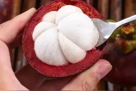 号称“水果皇后”的山竹为什么那么贵？主要有以下几个方面原因图片