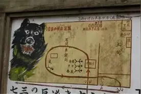 日本三毛别罴事件：棕熊也会变成食人猛兽？被捕后遭众人分食图片