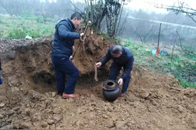 冬至或大寒挖出亲人遗骨装进陶罐二次葬，农村以前这个葬俗好神秘图片