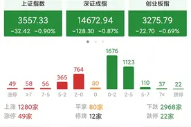 今天A股为什么开盘就跳水杀跌？行情真的要结束了吗？图片