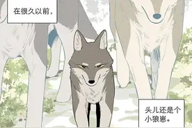 「漫画」狼王：狼王的过去图片