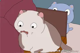 3个猫行为，意味着猫轻视铲屎官，不能太惯着猫图片