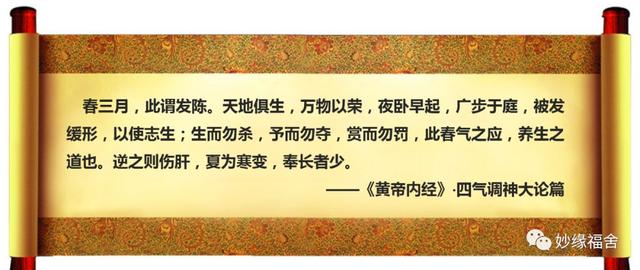 少年养志——《黄帝内经》里的一段话,蕴含着儿童教育真谛