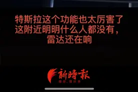 特斯拉在无人墓地感应到行人 客服：传感器上有灰尘可致传感错误图片
