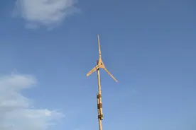减肥心得：与其节食，不如选择这款代餐奶昔图片