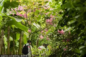 京郊竟藏迷你“热带雨林”，不仅颜值爆表，连“一大红船”都搬来了！图片