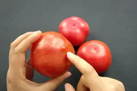 买西红柿要挑母的，老菜农教我一招：看顶部一眼能辨别，真实用图片