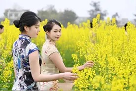 春游、军训、运动会，这才算是真实的大学生活图片
