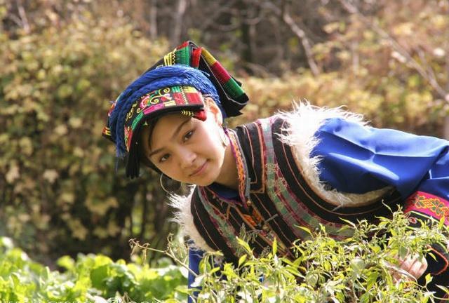 羌族美女怎么说 - 冷求网