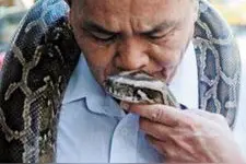 奇遇独臂采药大夫，与蟒蛇同住山洞，用棍子敲敲石洞，就引出蟒蛇图片